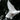 The Mystical Significance of Angel Number 1414: Unveiling its Hidden Messages